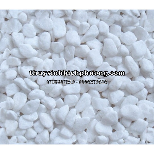 1KG SỎI TRẮNG THẠCH ANH TRẢI NỀN HỒ CÁ THUỶ SINH SIÊU ĐẸP