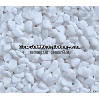 1KG SỎI TRẮNG THẠCH ANH TRẢI NỀN HỒ CÁ THUỶ SINH SIÊU ĐẸP