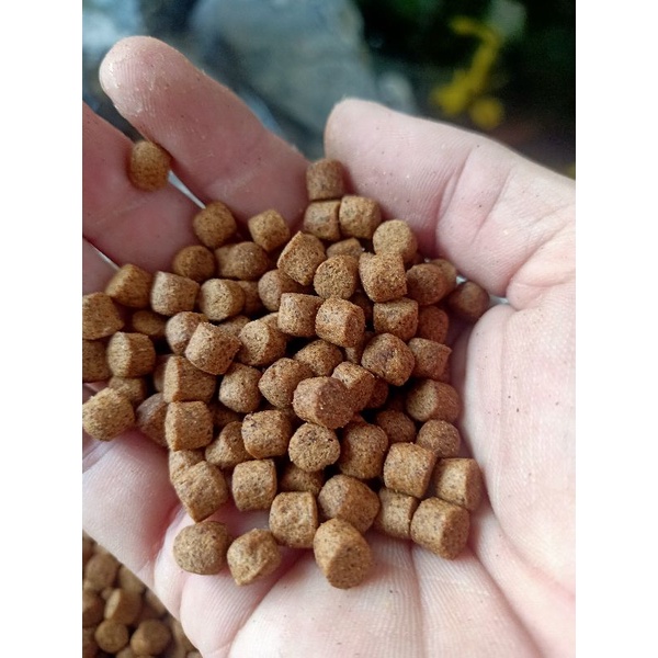 Cám kibakoi cám viên nổi dành cho cá
