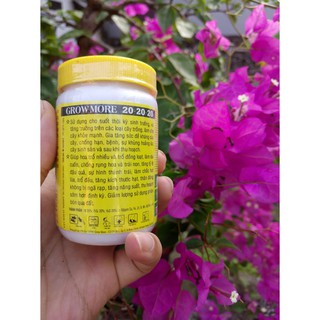 PHÂN NPK 20-20-20+TE Grow More 100G