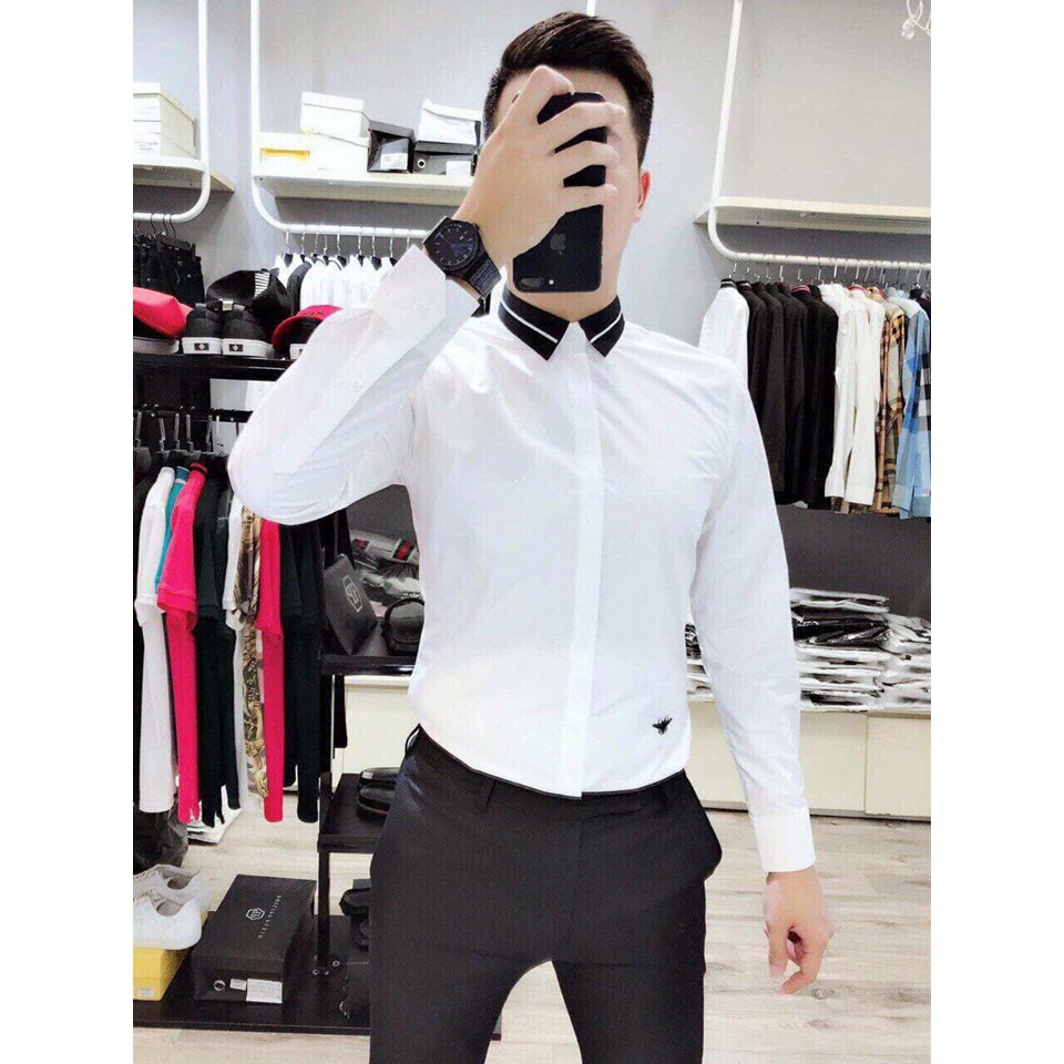 Sơ mi lụa, cổ phối viền tạo điểm nhấn