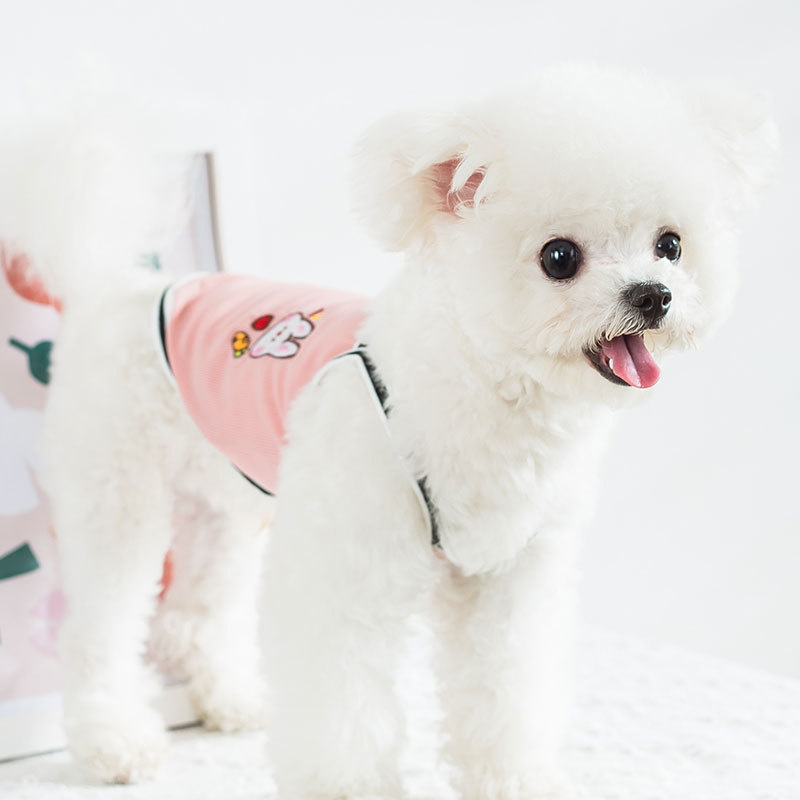 Áo Hai Dây Mỏng Thoáng Khí In Họa Tiết Hoạt Hình Cỡ Nhỏ Và Trung Bình Cho Thú Cưng