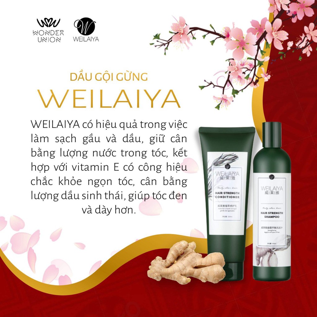 Dầu Gội Gừng Weilaiya Chính Hãng Trọn Bộ Gội 400ml & Xả 250ml Ngăn Rụng Tóc Gíup Mọc Tóc Giảm Rụng Tóc Sau 15-20 Lần Gội | BigBuy360 - bigbuy360.vn