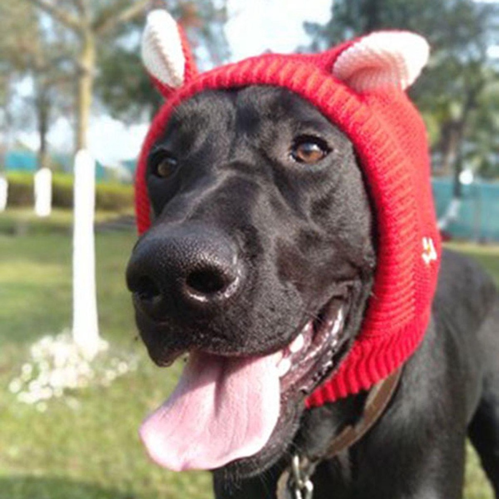 Mũ Beanie Mềm Mại Cho Thú Cưng