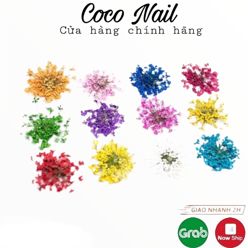 Set hoa khô ẩn gel