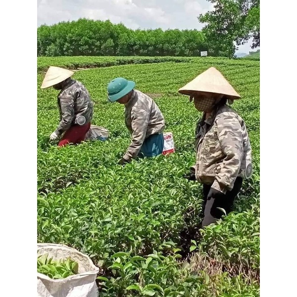 Áo điều hoà BBA