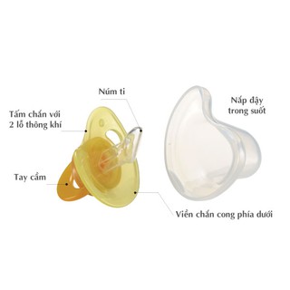Ti Giả Richell-Nhật Bản