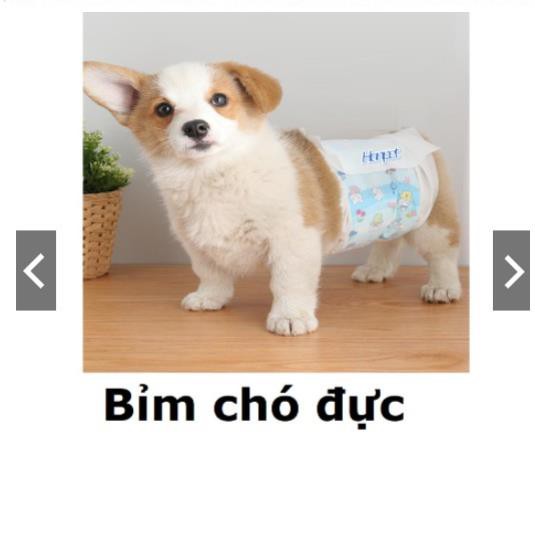 [Mã PET50K giảm Giảm 10% - Tối đa 50K đơn từ 250K] Bỉm chó đực - Tã Bỉm cho chó từ 1-25kg (1 bịch 10 miếng) hanpet