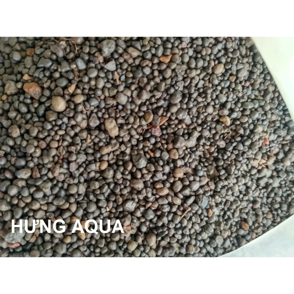 Sỏi suối nâu - sỏi suối trải nền trang trí bể cá, hồ cá thủy sinh, hồ nuôi tép 500g - 1kg - 2kg