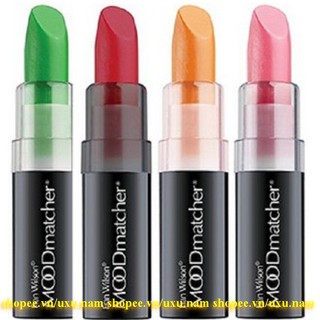 Son gió mỹ moodmatcher 3.5g fran wilson chính hãng.