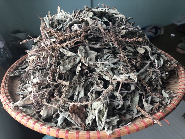 Hương nhu tía 50g (ngọn khô)