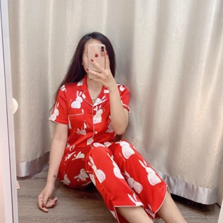 Lụa hoạ tiết TNQD