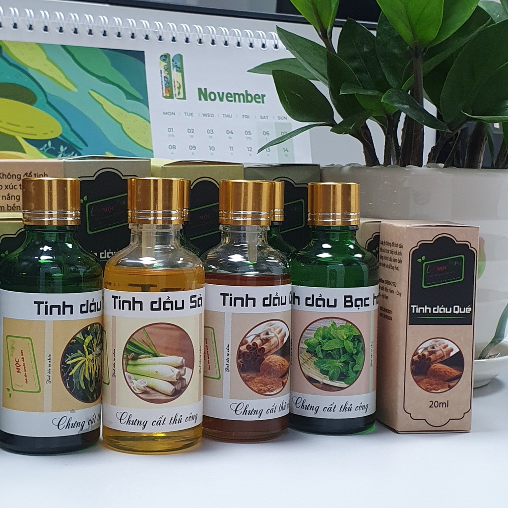 Tinh dầu sả, quế, bạc hà, tràm 50ml