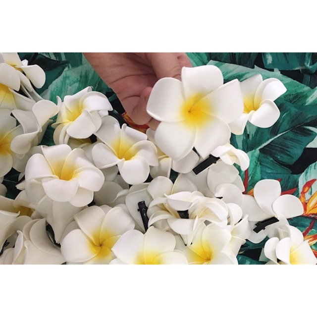 Kẹp hoa sứ (combo 200 kẹp)