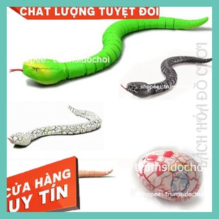 Đồ chơi điều khiển từ xa 💖FREESHIP💖 Con rắn mô hình giống thật