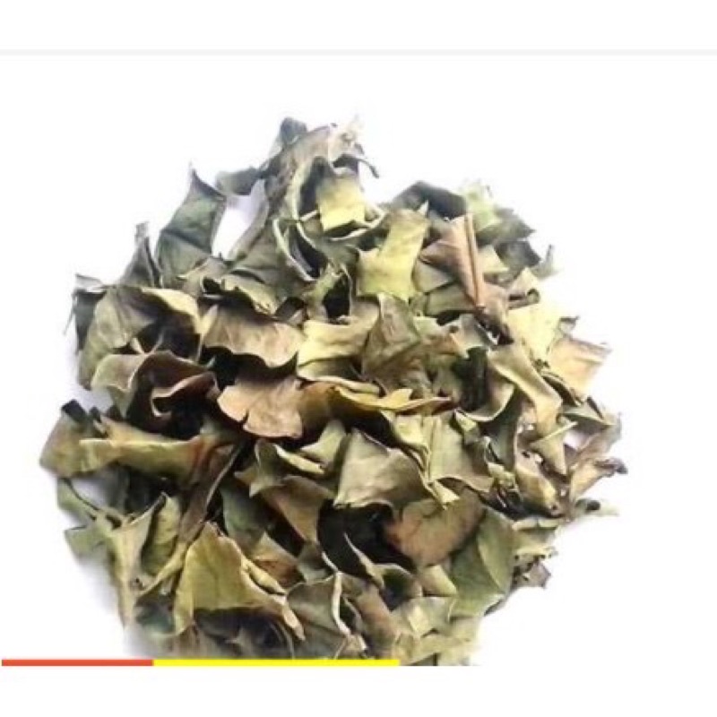 500 g lá vối khô hàng xanh mới thơm ngon thảo dược sạch VN