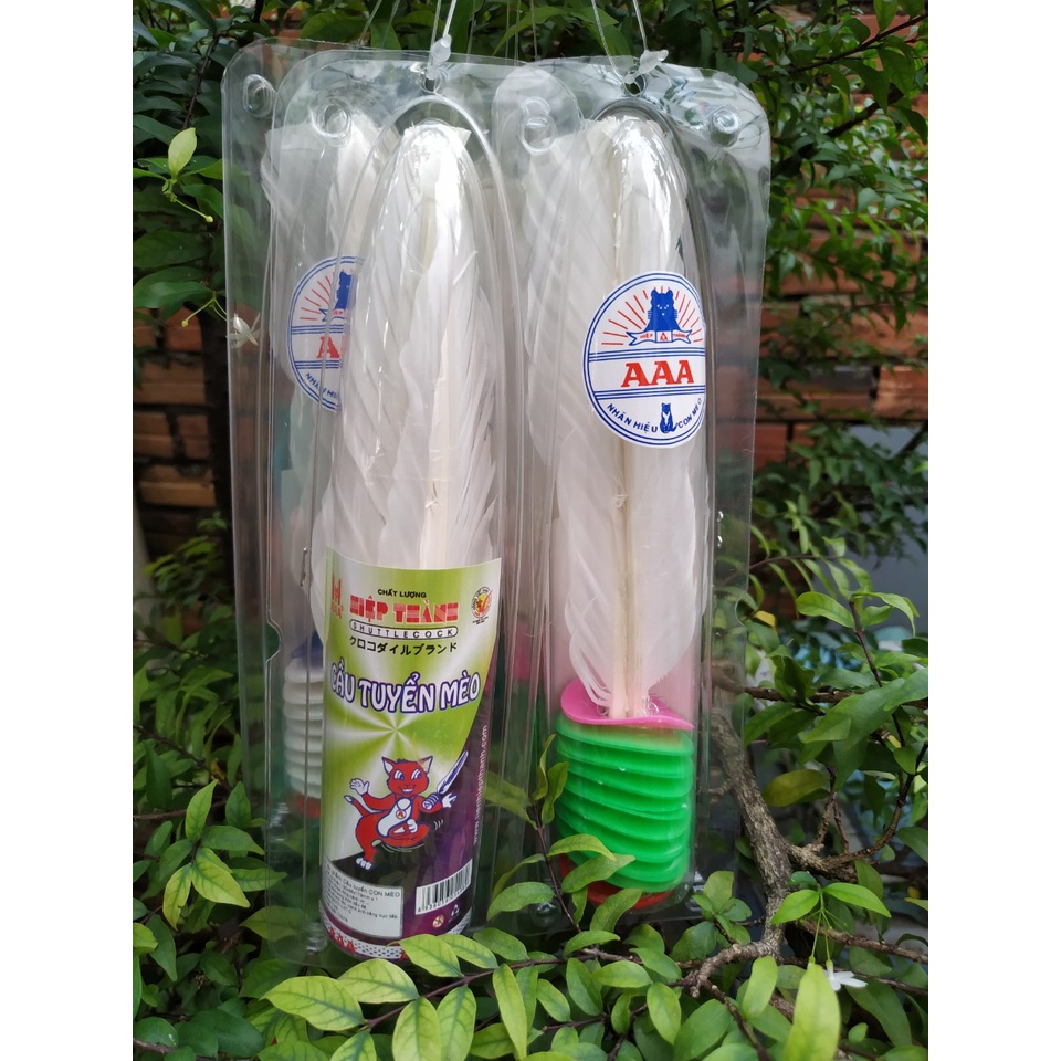 Cầu Đá Lông Gà Hiệp Thành AAA