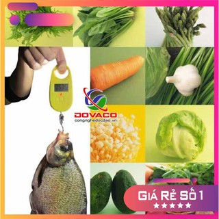 Cân móc điện tử bỏ túi 25kg