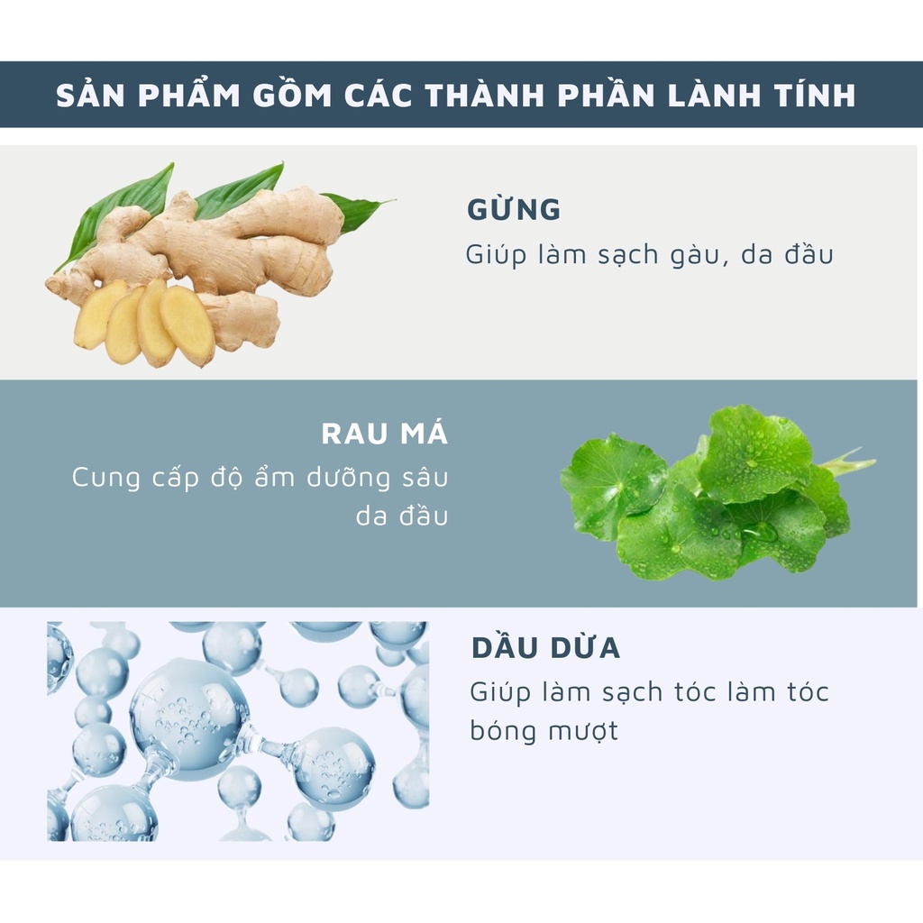 Dầu Gội Muối Biển NORO Thảo dược tự nhiên  Tẩy Tế Bào Chết da đầu   giúp giảm rụng tóc và kích thích mọc tóc hiệu quả.