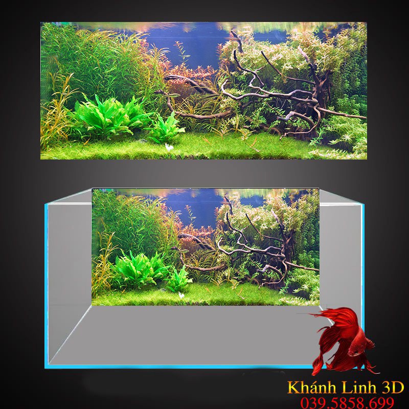 Tranh 3D bể cá cảnh thủy sinh,kèm dụng cụ dán có keo sẵn
