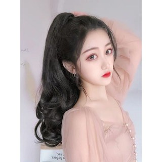 TÓC GIẢ NGOẠM DÀI ĐUÔI NGỰA