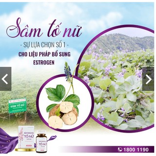 Sâm nhung tố nữ - Tuệ Linh