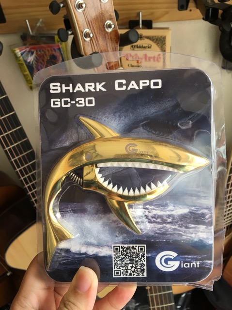 Capo Shark