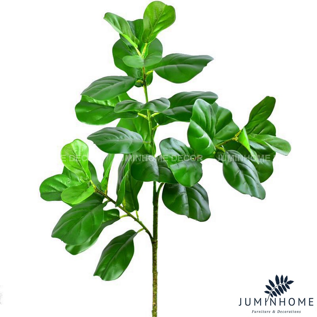 Cành bàng Singapore - Cây hoa giả Decor trang trí nhà cửa nội thất phòng khách, phòng ngủ