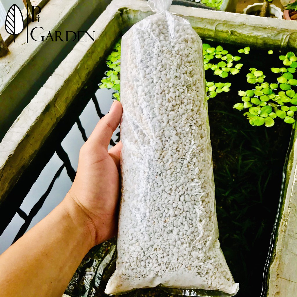 Đá Perlite | Giá thể trồng cây | Cực phẩm cho sen đá và xương rồng