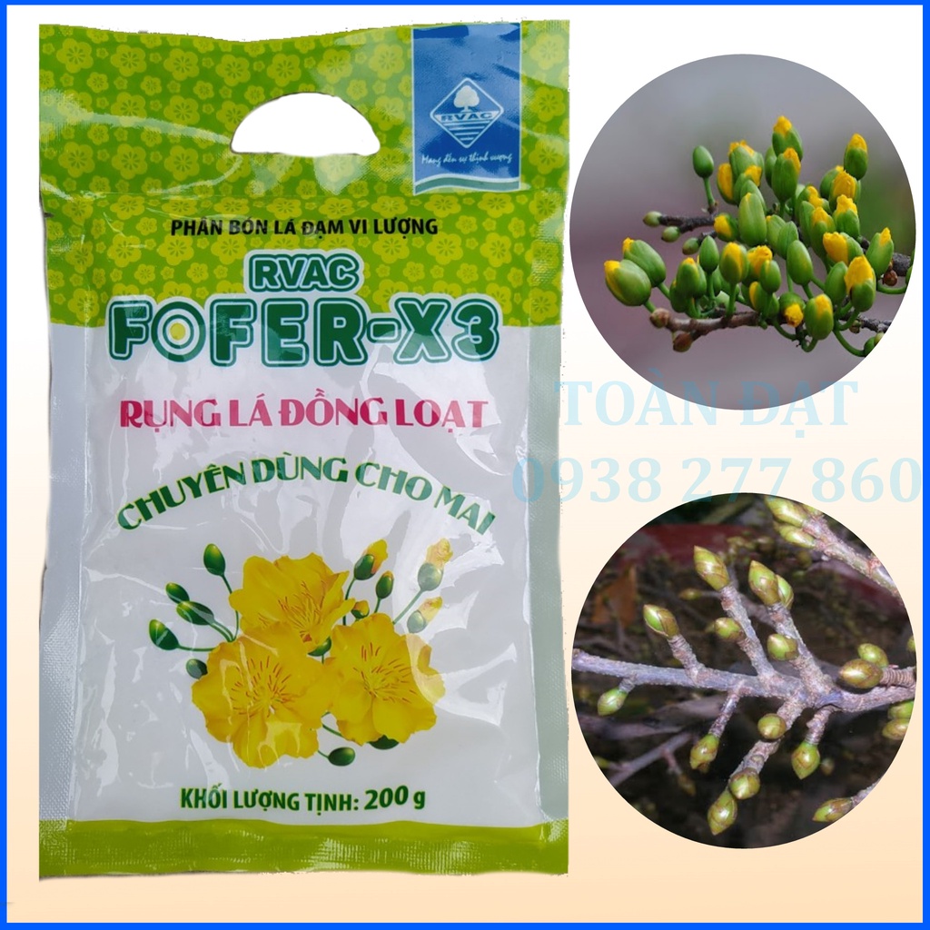 Rụng lá mai , Phân bón rụng lá đồng loạt chuyên cho mai vàng FOFER-X3
