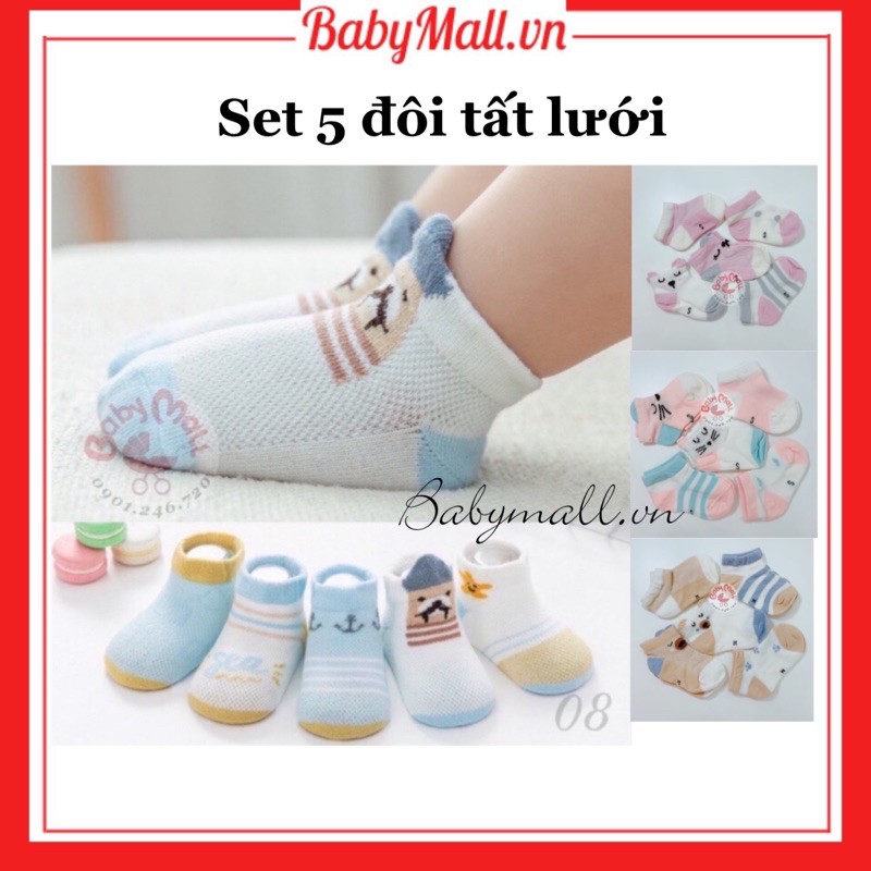 Set 5 tất lưới Robibabi 489 (Ship màu ngẫu nhiên bé trai/gái)