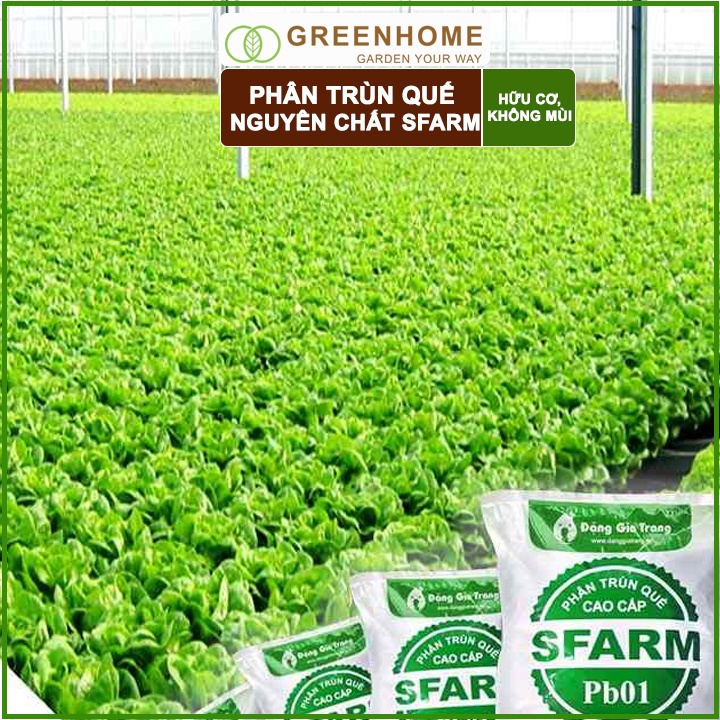 Bộ 2 Phân trùn quế Sfarm, bao 2kg, nguyên chất bổ sung dinh dưỡng cho cây, hoa, cải tạo đất |Greenhome