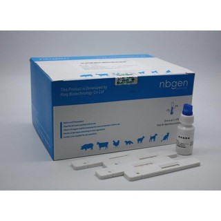 Que Thử Nhanh Dịch Tả  Heo Châu Phi (ASFV Ag Rapid Test Card) 🐖🐖🐖