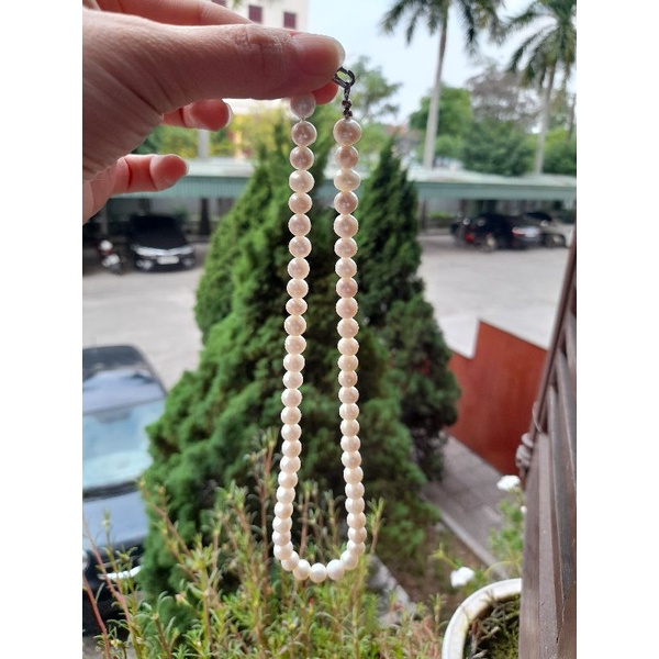 Dây trai ngọt 40cm