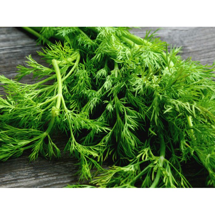 Lá thì là Ông Chà Và 15 gram (Dill)