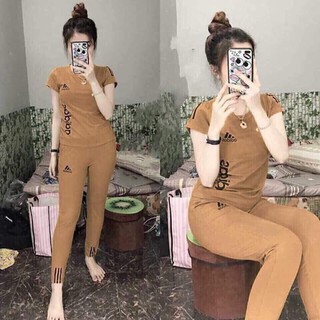 bộ đồ thun andi