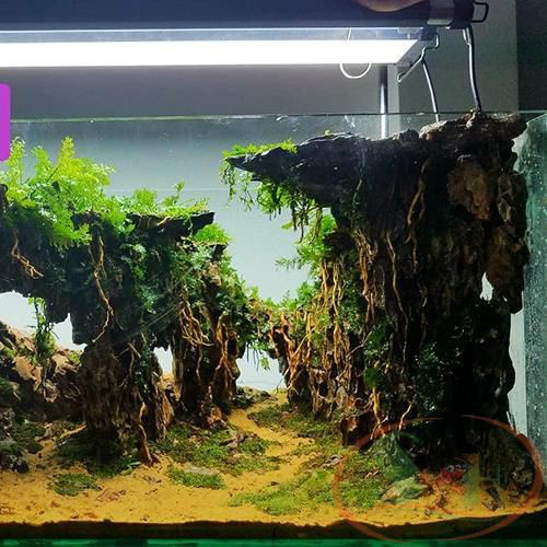 1KG Cát Nắng Vàng Hàng Loại Tốt - Cát Vàng Trang Trí Hồ Cá, Bể Cá Thuỷ Sinh