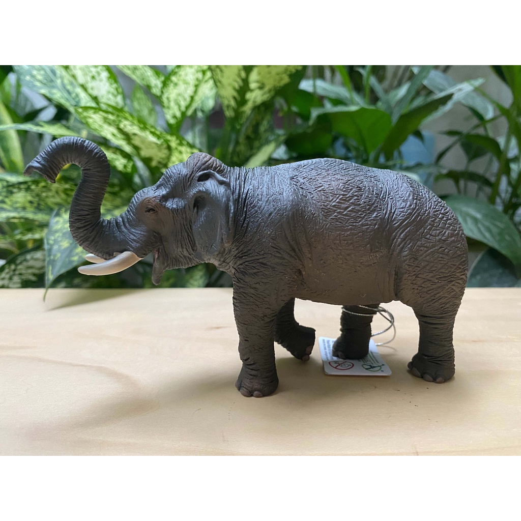 Mô hình động vật: Voi Châu Á