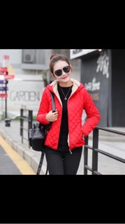 Áo phao trần lót nỉ bông