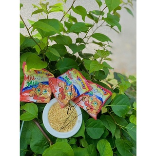 Mì trẻ emm