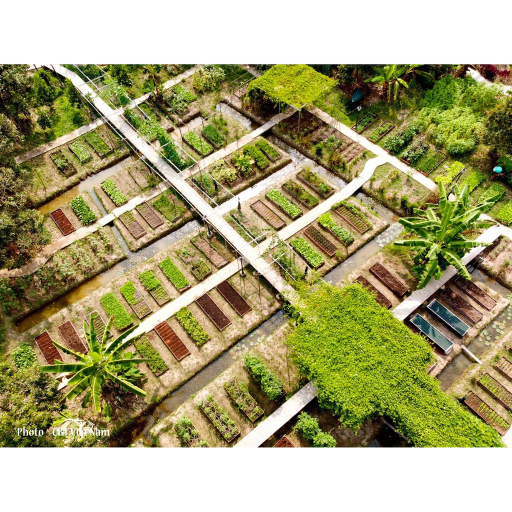 Đất Dinh Dưỡng Hữu Cơ Sfarm Chuyên Dùng Cho Rau Ăn Lá - 20Dm3 - Trọn Dinh Dưỡng Cho 1 Vụ Trồng