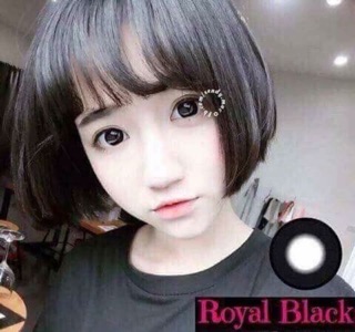 LENS ĐEN BLACK ‼️‼️