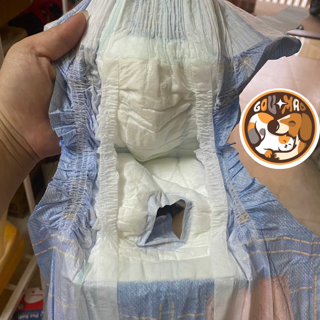 Tã Bỉm, tã quần giả Jean cho chó cái thưởng hiệu Pet Soft - Goumao pet