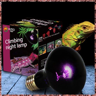 Bóng sưởi đêm cho bò sát, rùa cảnh, thằn lằn, iguana 25W