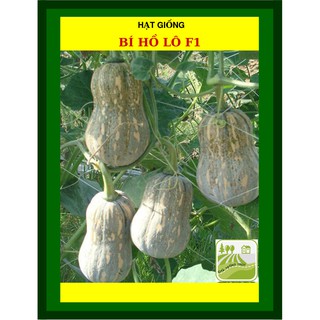 Gói 2gram Hạt Giống Bí Hồ Lô Trang Nông