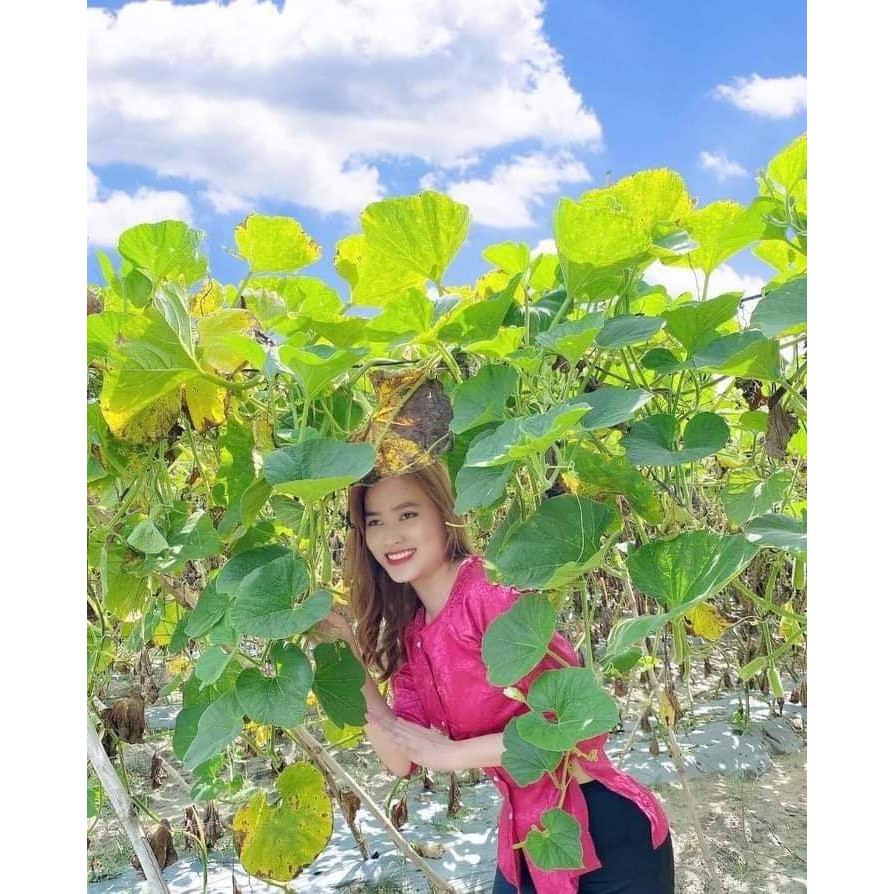 SÉT ÁO BÀ BA + QUẦN