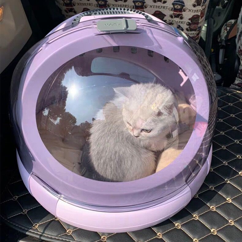 Cat Bag Space Capsule Pet Cat Ba lô trong suốt Đi chơi Mèo Túi đựng đồ cho mèo Hộp đựng đồ cho mèo Túi đi học cho chó Ba