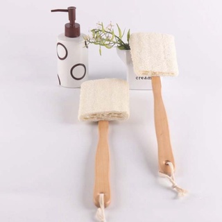 Cây chà lưng xơ mướp, Cây cọ lưng tẩy tế bào chết, làm sạch cơ thể