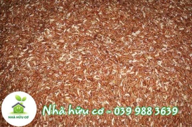 Gạo lứt dẻo điện biên 1kg - Date: 11/2022 - Nhà Hữu Cơ