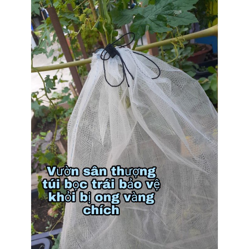 (1 cái) Túi Lưới Bọc Trái Cây, (30cmx35cm) Bảo Vệ Cho Đến Khi Trái, Quả Chín